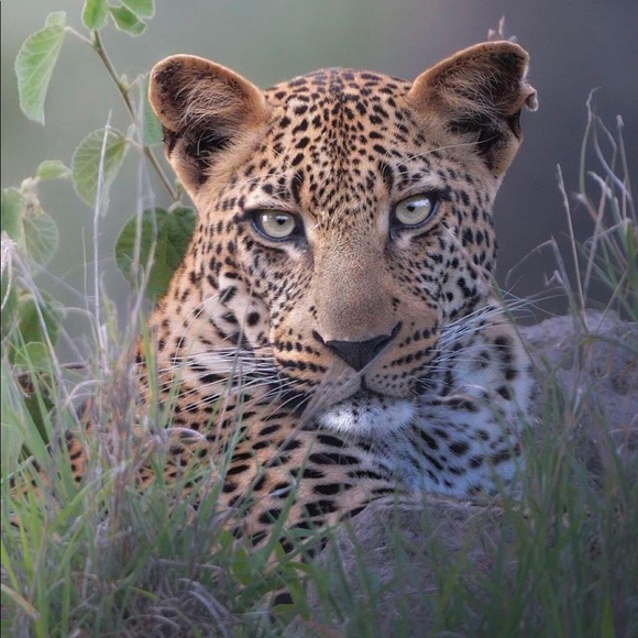 There comes a time in the life of a woman - Picture 2 of 2